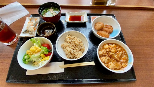 f:id:hawaiira-men:20201124105232j:image