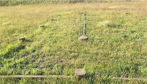 f:id:hawaiira-men:20210625103046j:image