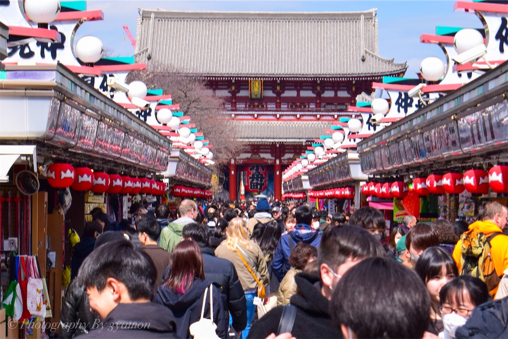 相棒Nikon D5300を紹介！ - フォトジェニックな旅行log