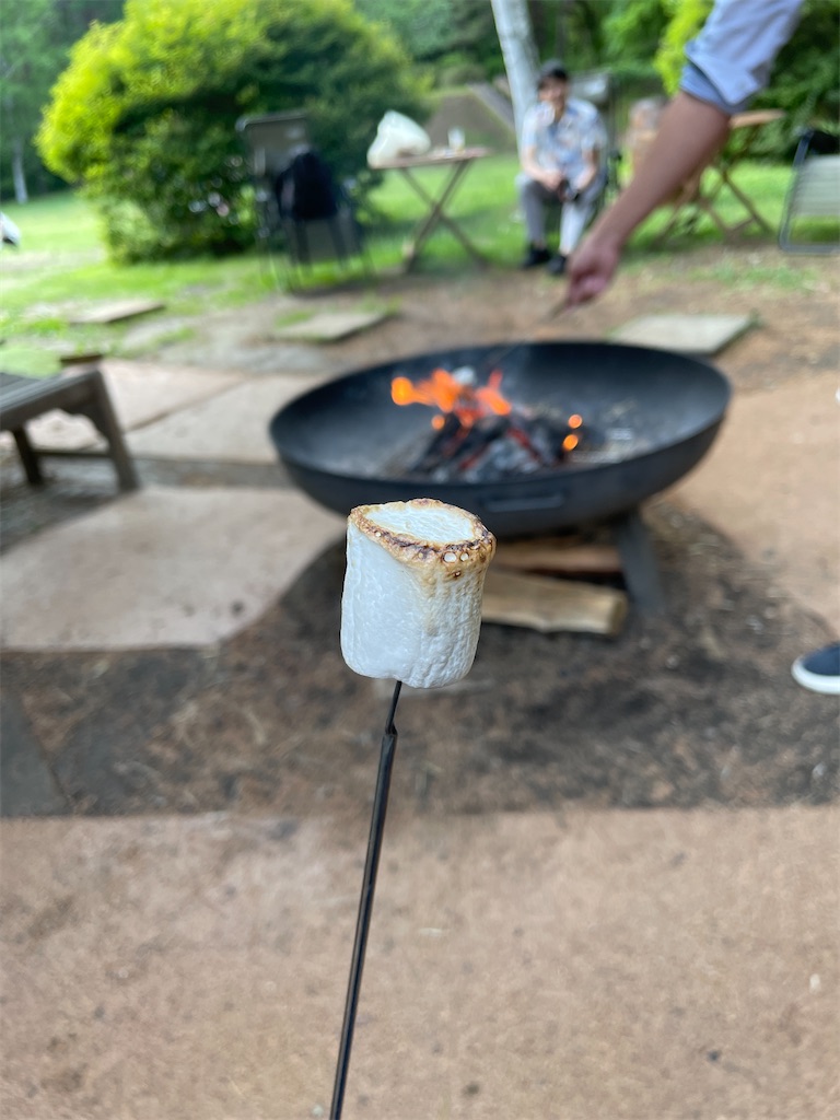 f:id:hawaiiwaka:20260617223117j:image