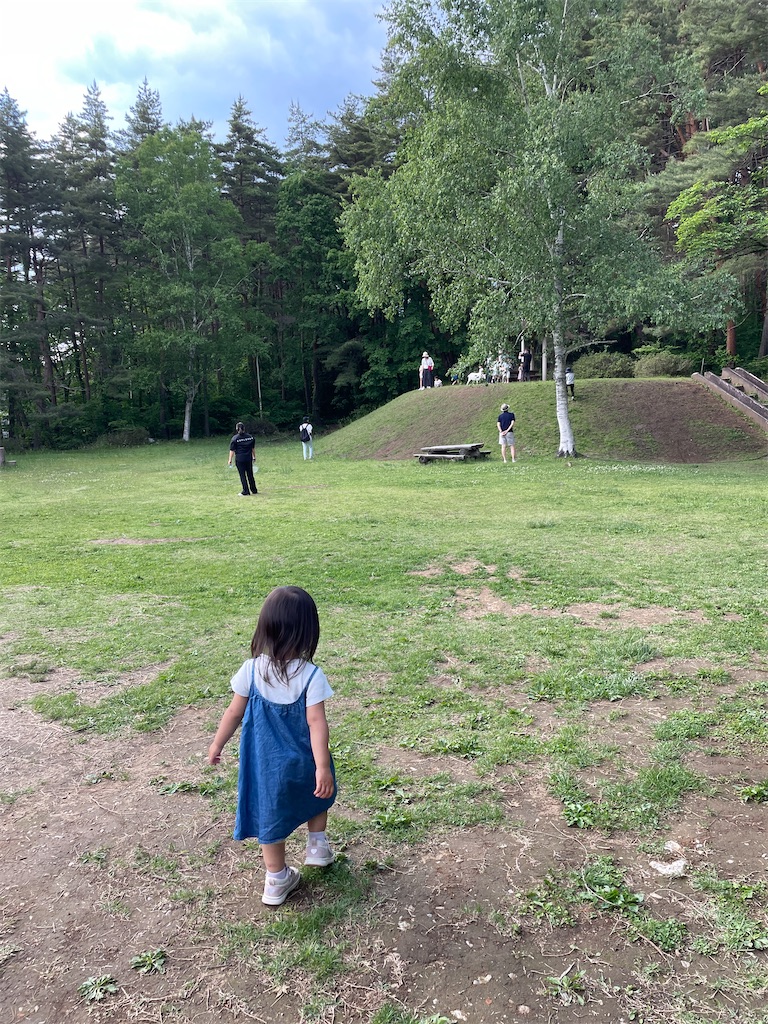 f:id:hawaiiwaka:20260617223155j:image