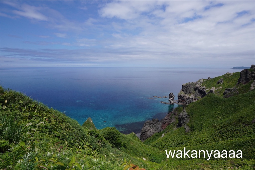 f:id:hawaiiwaka:20260620201130j:image f:id:hawaiiwaka:20260620201130j:image