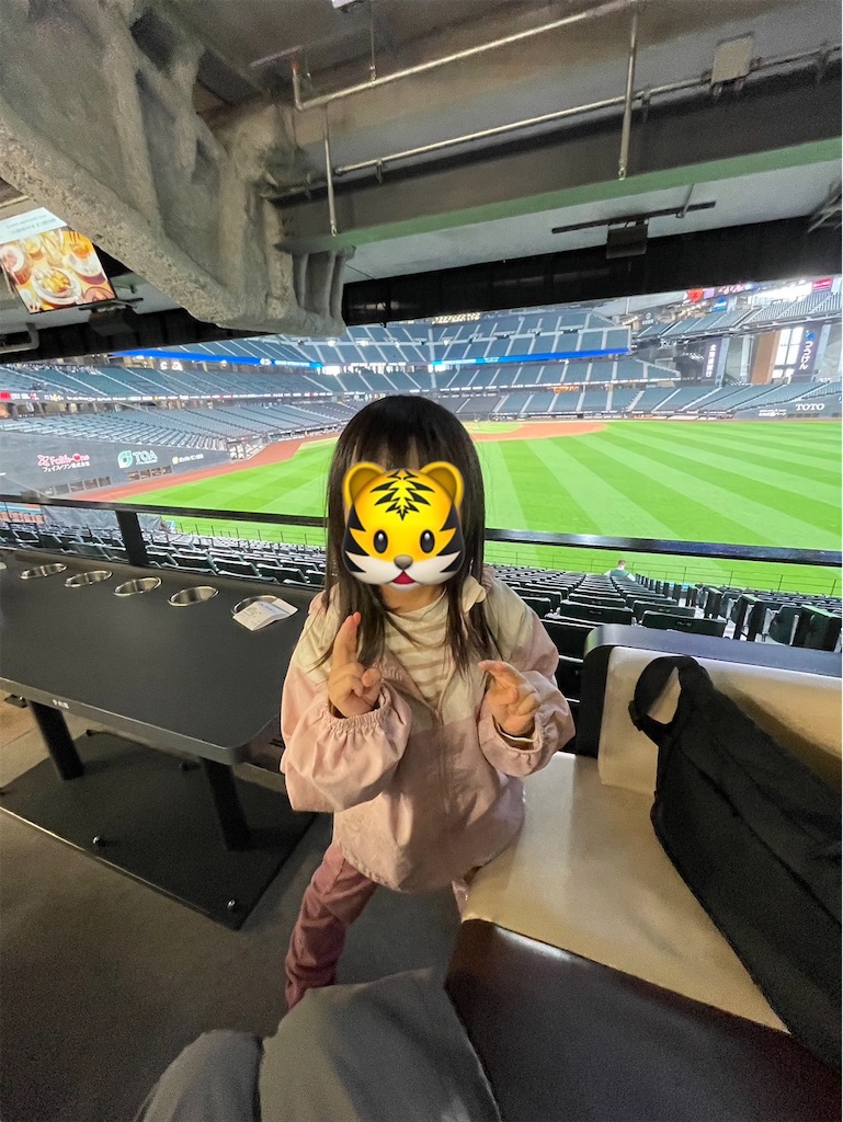 f:id:hawaiiwaka:20260622145807j:image