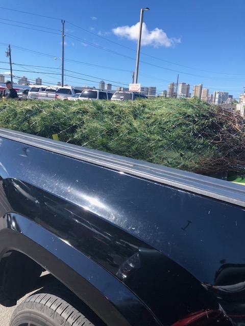 f:id:hawaiiwife:20181207061557j:plain f:id:hawaiiwife:20181207061557j:plain
