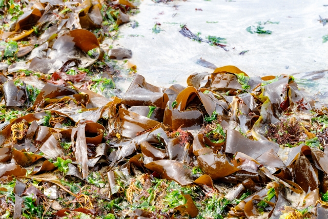 f:id:hawkace7187:20180919103629j:plain f:id:hawkace7187:20180919103629j:plain