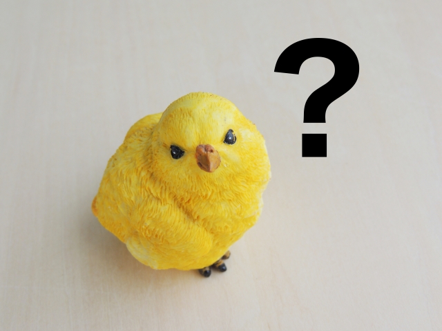 f:id:hawkace7187:20181116095833j:plain f:id:hawkace7187:20181116095833j:plain