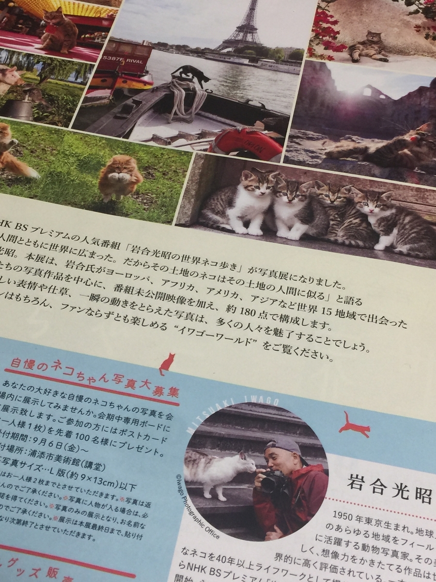 f:id:hawkace7187:20191020173151j:plain f:id:hawkace7187:20191020173151j:plain