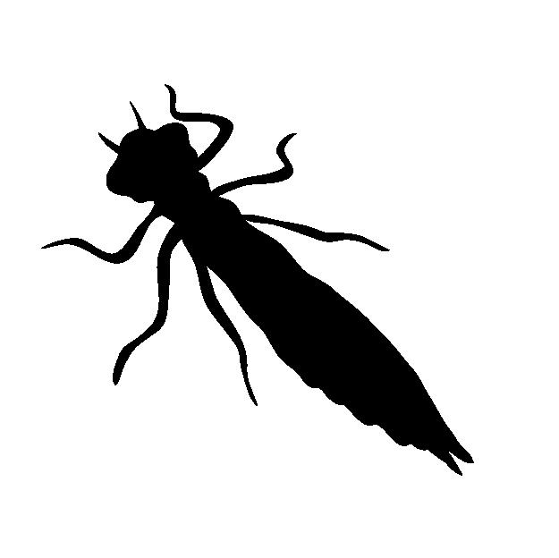 f:id:hawkace7187:20200804111205j:plain