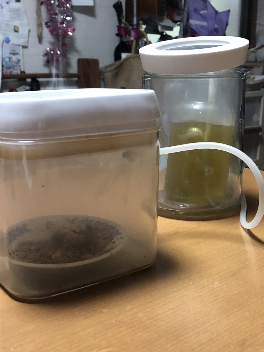 f:id:hawkace7187:20210605192823j:plain