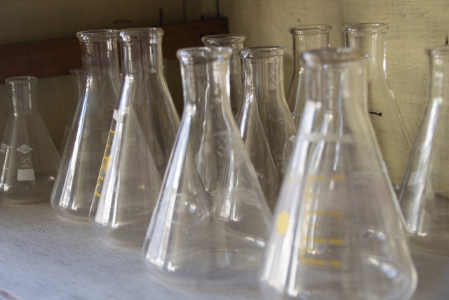 f:id:hawkace7187:20210615191037j:plain