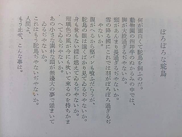 イメージ 13