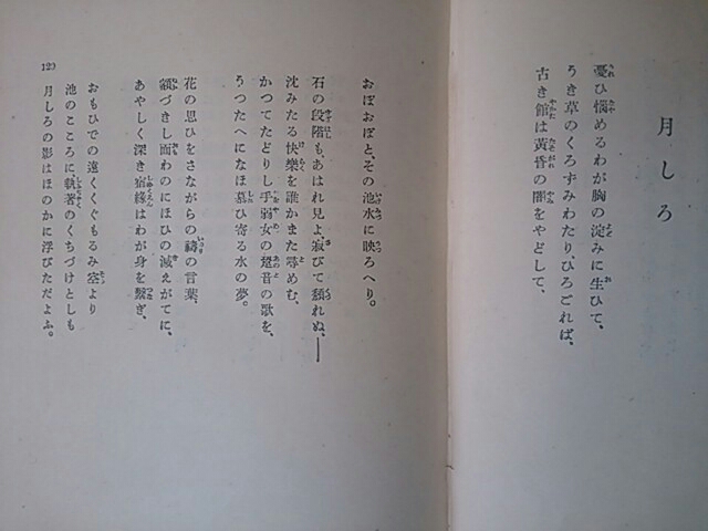イメージ 6