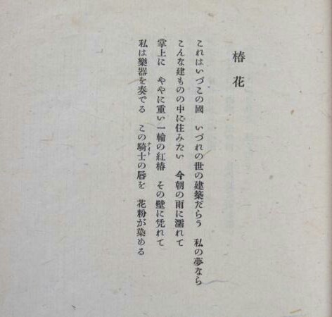 イメージ 5