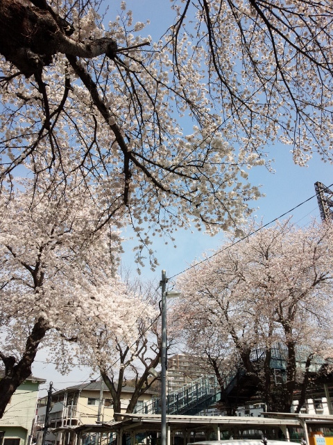 イメージ 1