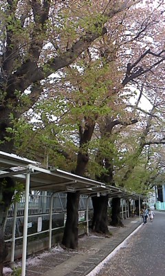 イメージ 2