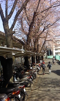イメージ 2
