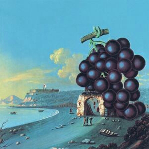 Moby Grape / 1st Album 国内流通仕様盤 Moby Grape - Moby Grape (Columbia, 1967) その1 - 人生は野菜