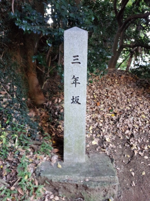 f:id:hawkrose:20181114153613j:plain