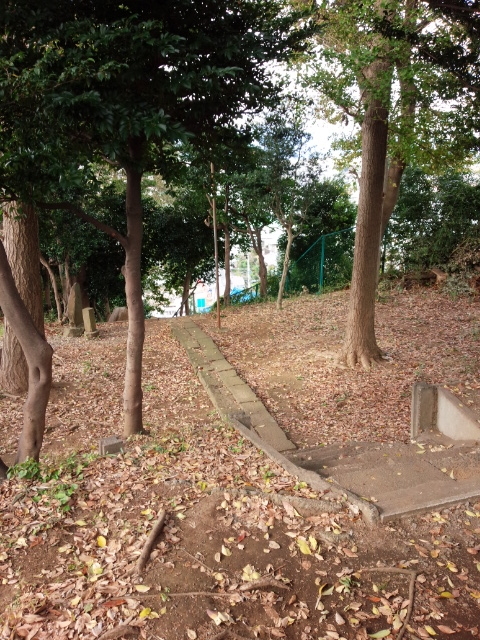 f:id:hawkrose:20181120095510j:plain