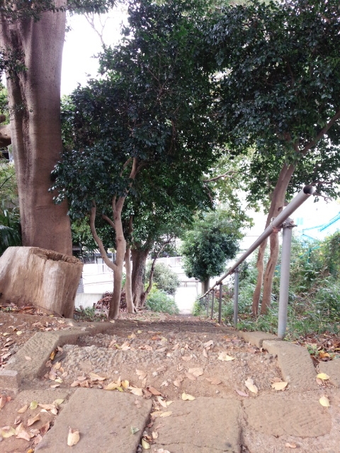 f:id:hawkrose:20181120095558j:plain