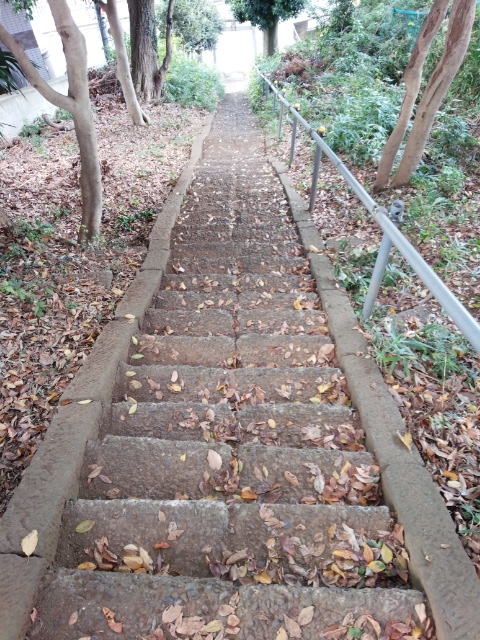 f:id:hawkrose:20181120095616j:plain