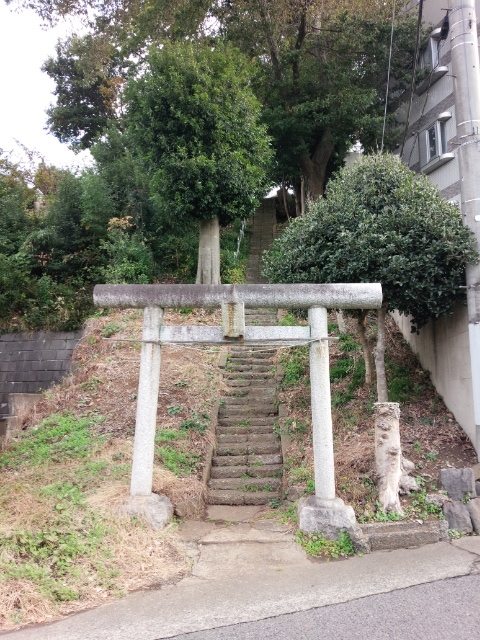 f:id:hawkrose:20181120095823j:plain