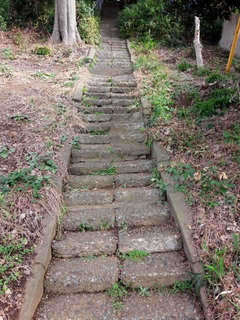 f:id:hawkrose:20181120105449j:plain