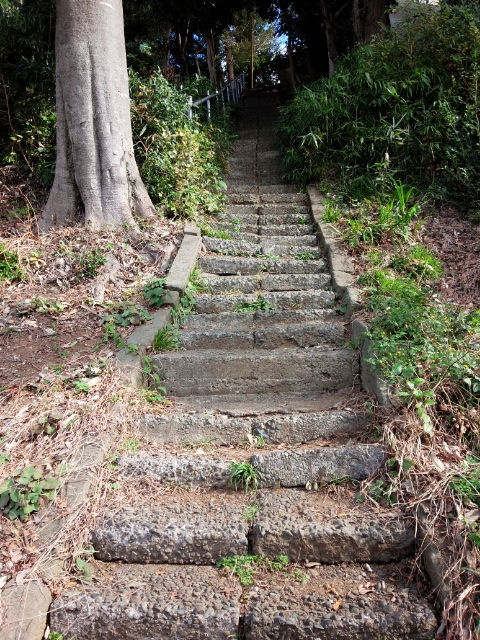 f:id:hawkrose:20181120105713j:plain