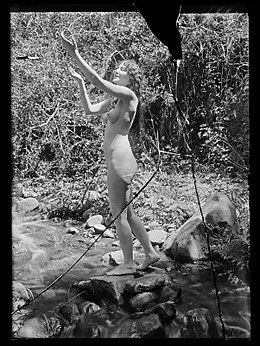 f:id:hawkrose:20200304151925j:plain