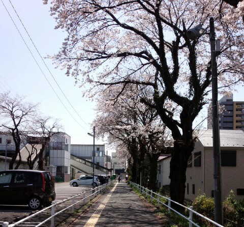 f:id:hawkrose:20200326130904j:plain