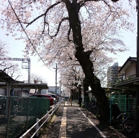 f:id:hawkrose:20200326130947j:plain