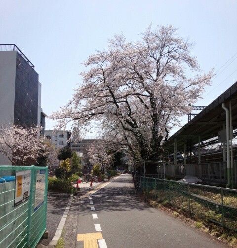 f:id:hawkrose:20200326131426j:plain