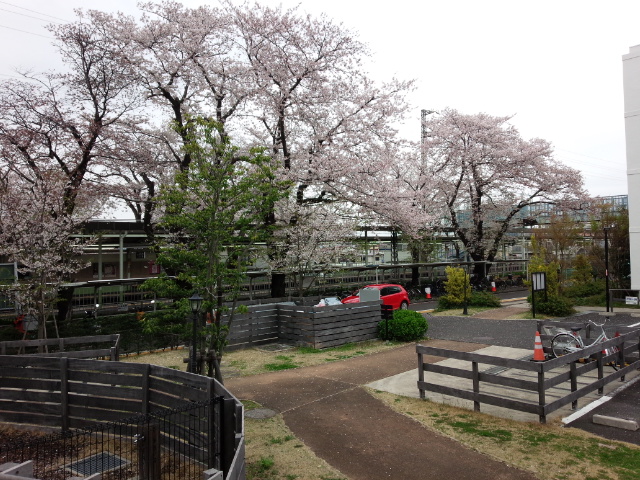 f:id:hawkrose:20200401005839j:plain