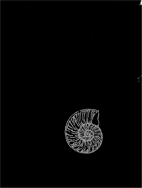 f:id:hawkrose:20200429153727j:plain