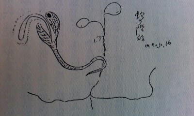 f:id:hawkrose:20200602222936j:plain