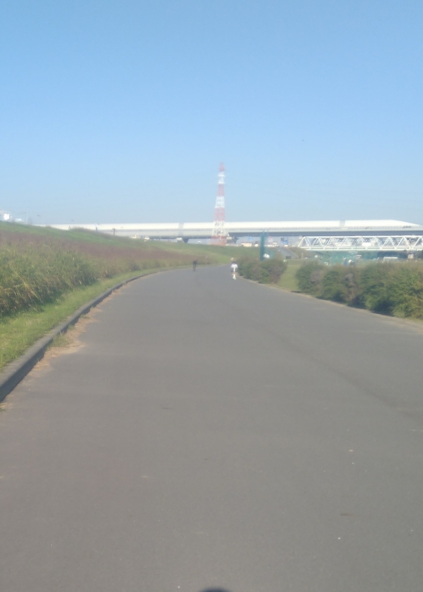 f:id:hawkseye:20201115061530j:plain f:id:hawkseye:20201115061530j:plain