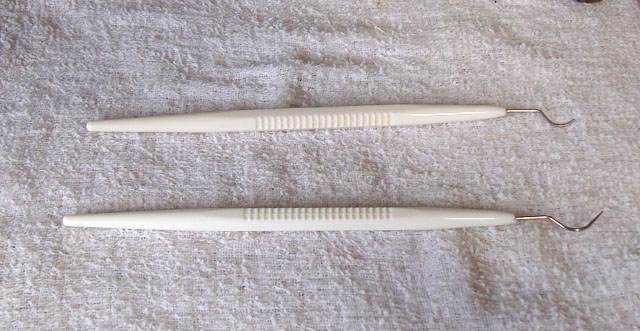 f:id:haworthii:20190306155059j:plain