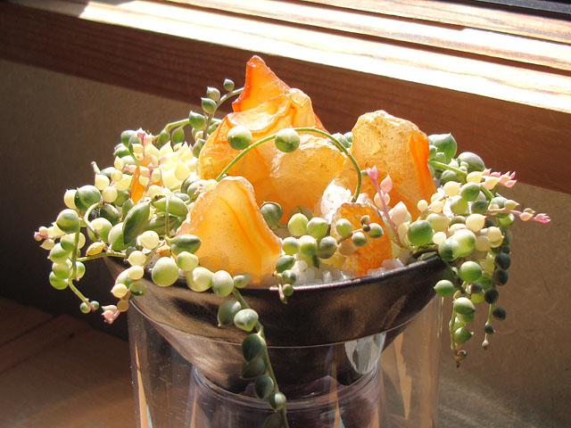 f:id:haworthii:20190331144420j:plain