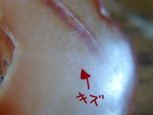 f:id:haworthii:20190709002112j:plain f:id:haworthii:20190709002112j:plain