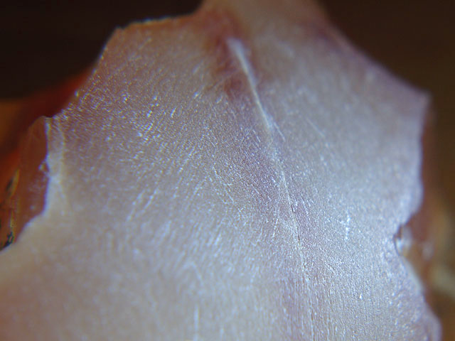 f:id:haworthii:20190709213024j:plain f:id:haworthii:20190709213024j:plain