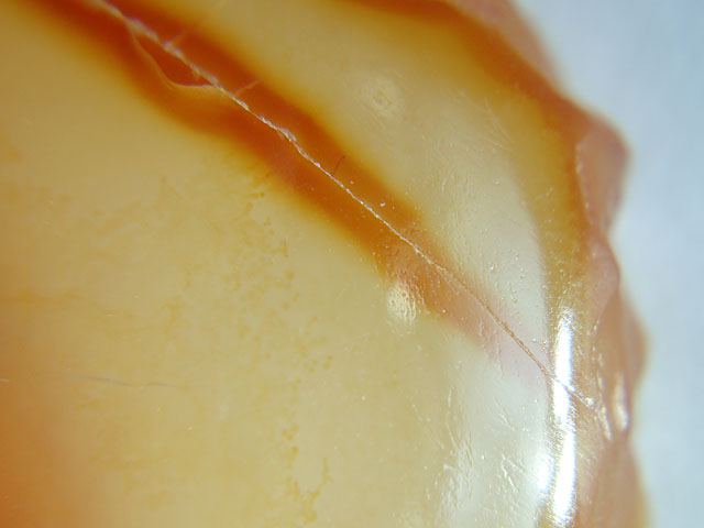 f:id:haworthii:20190710014000j:plain f:id:haworthii:20190710014000j:plain