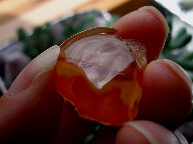 f:id:haworthii:20190710014751j:plain f:id:haworthii:20190710014751j:plain