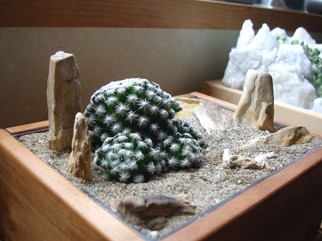 f:id:haworthii:20190906225355j:plain f:id:haworthii:20190906225355j:plain