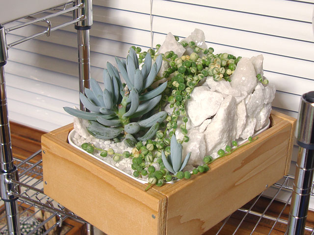 f:id:haworthii:20200522191902j:plain f:id:haworthii:20200522191902j:plain