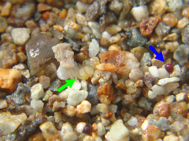 f:id:haworthii:20201012201137j:plain f:id:haworthii:20201012201137j:plain