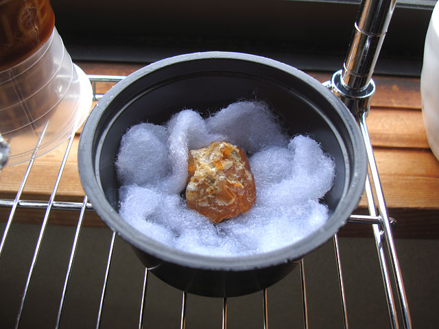 f:id:haworthii:20201107144417j:plain