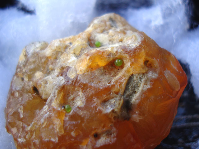 f:id:haworthii:20201230153650j:plain