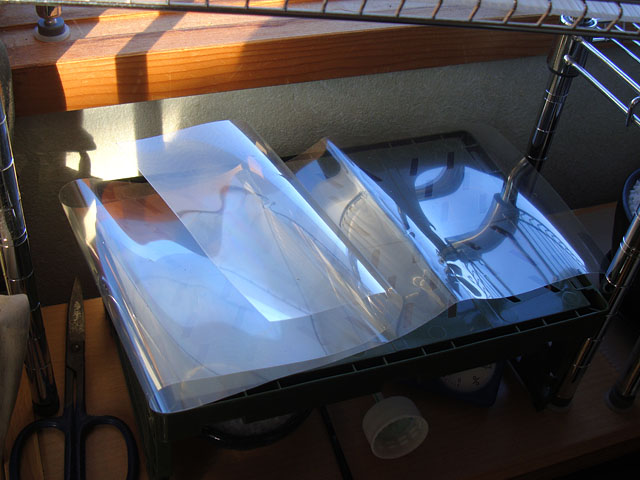 f:id:haworthii:20210130193522j:plain