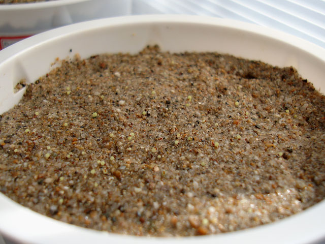 f:id:haworthii:20211103221530j:plain