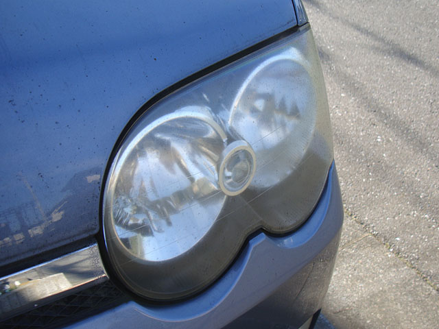 f:id:haworthii:20211212144238j:plain